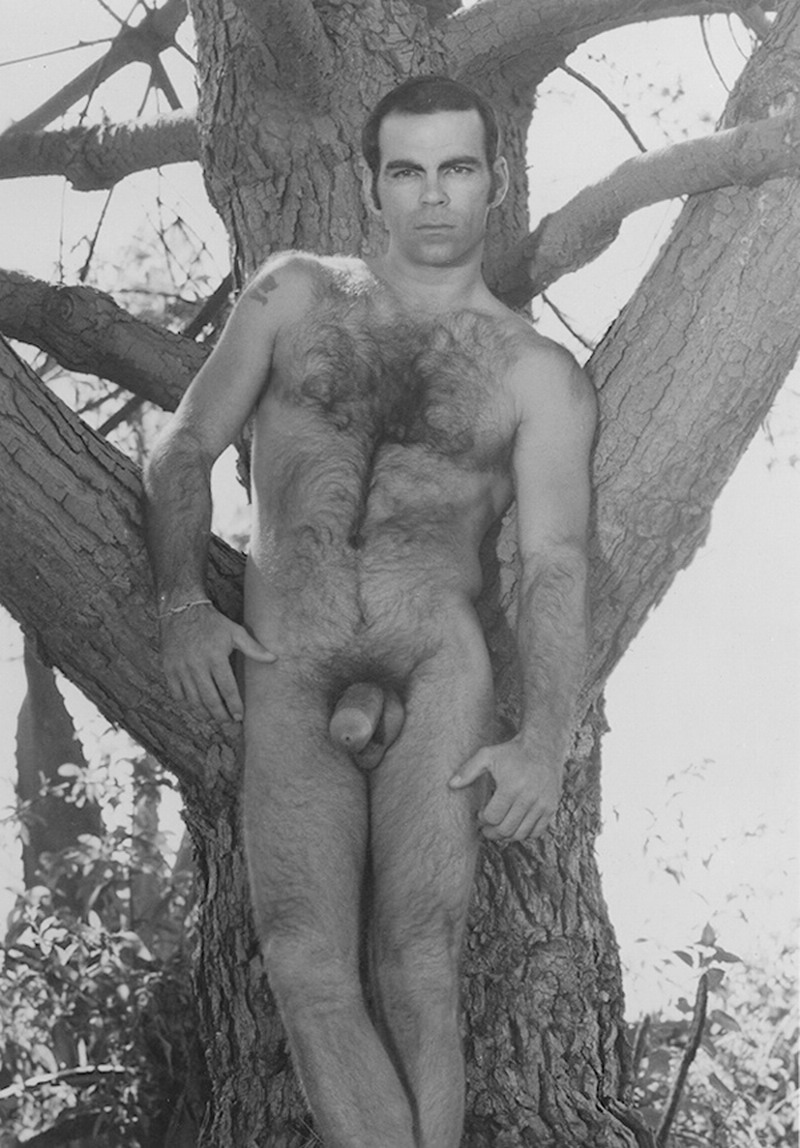 Hairy Mature Hunk Posing Naked Colt Vintage Pics